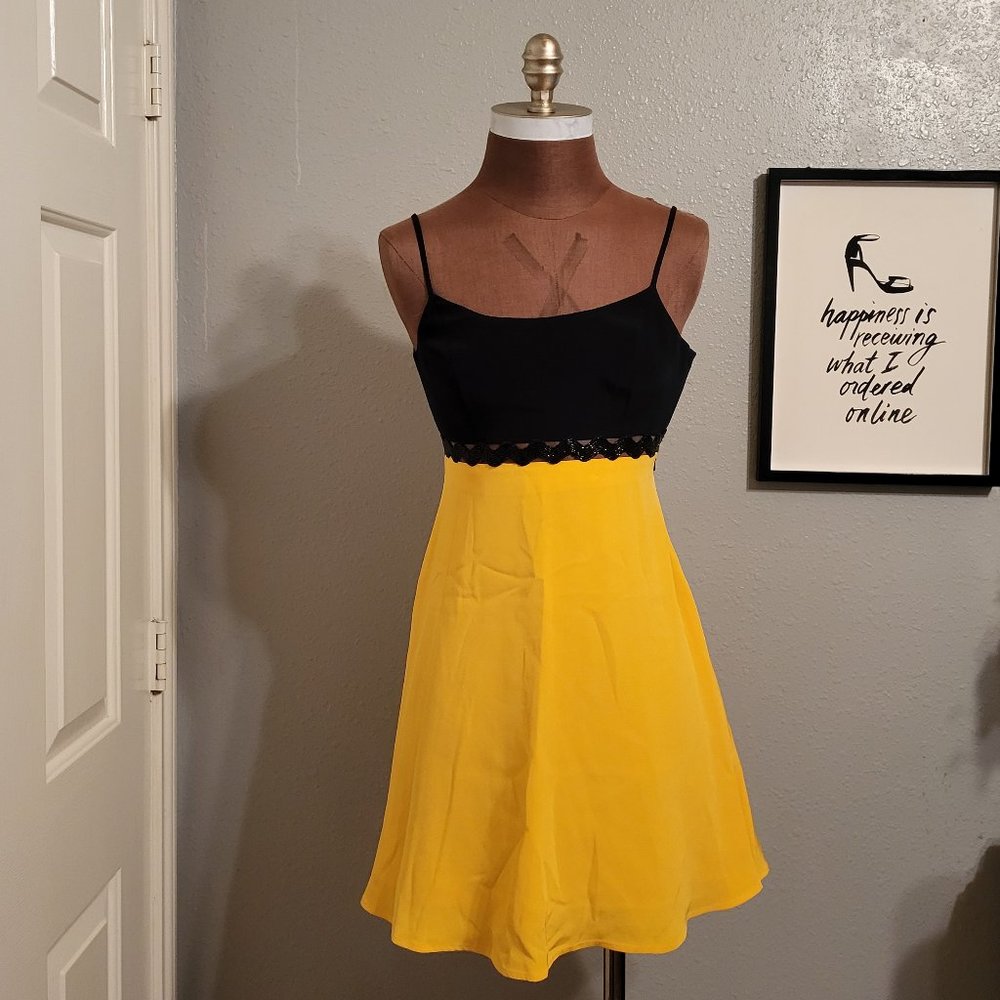 Niteline Vintage Beaded Trim Dress